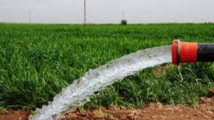 Şanlıurfa’da Yağmur Altında Sulama Skandalı! Elektrik Tüketimi Rekor Seviyede Arttı