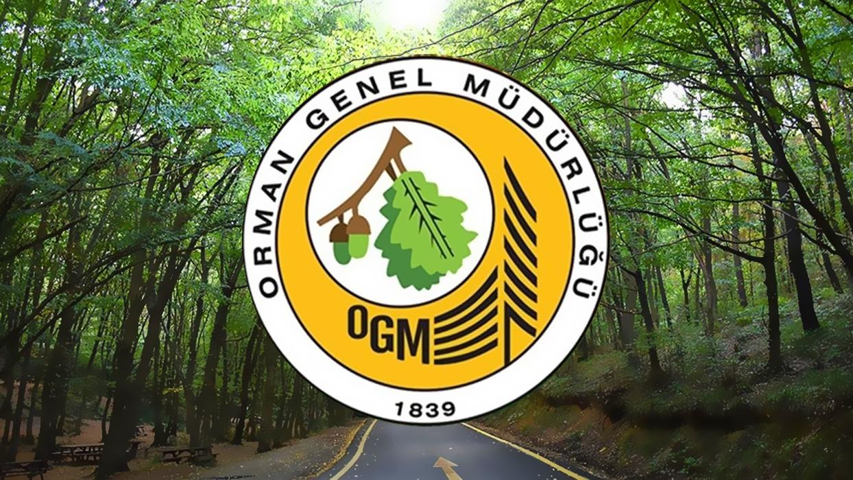Şanlıurfa’da Orman Bölge Müdürlüğü İşçi Alımı Sonuçları Açıklandı!
