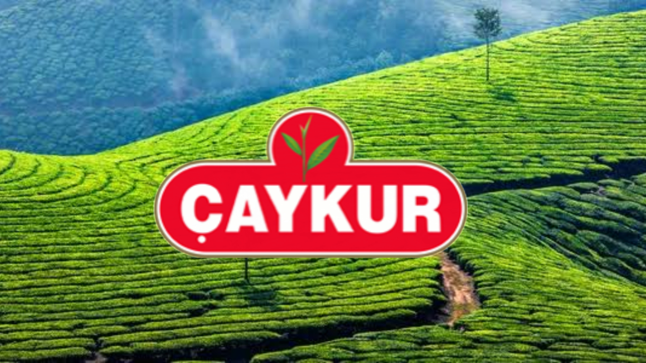 ÇAYKUR 1500 İşçi Alacak! Başvuru Şartları ve Tarihler Açıklandı