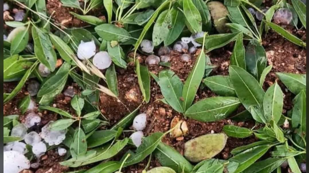 Dolu Felaketi Şanlıurfa’yı Vurdu Arabalar, Ağaçlar, Güneş Panelleri Hasar Gördü