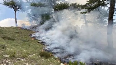 Şanlıurfa Alarm Veriyor: 24 Saatte 92 Yangın! Anız Tehlikesi Kapıda