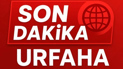 Şanlıurfa Eyyübiye’de Feci Trafik Kazası: 5 Kişi Yaralandı, Jandarma Yol Güvenliğini Sağladı