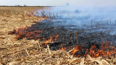 Suruç’ta Anız Yangını Felaketi! 50 Dönüm Ekin Kül Oldu