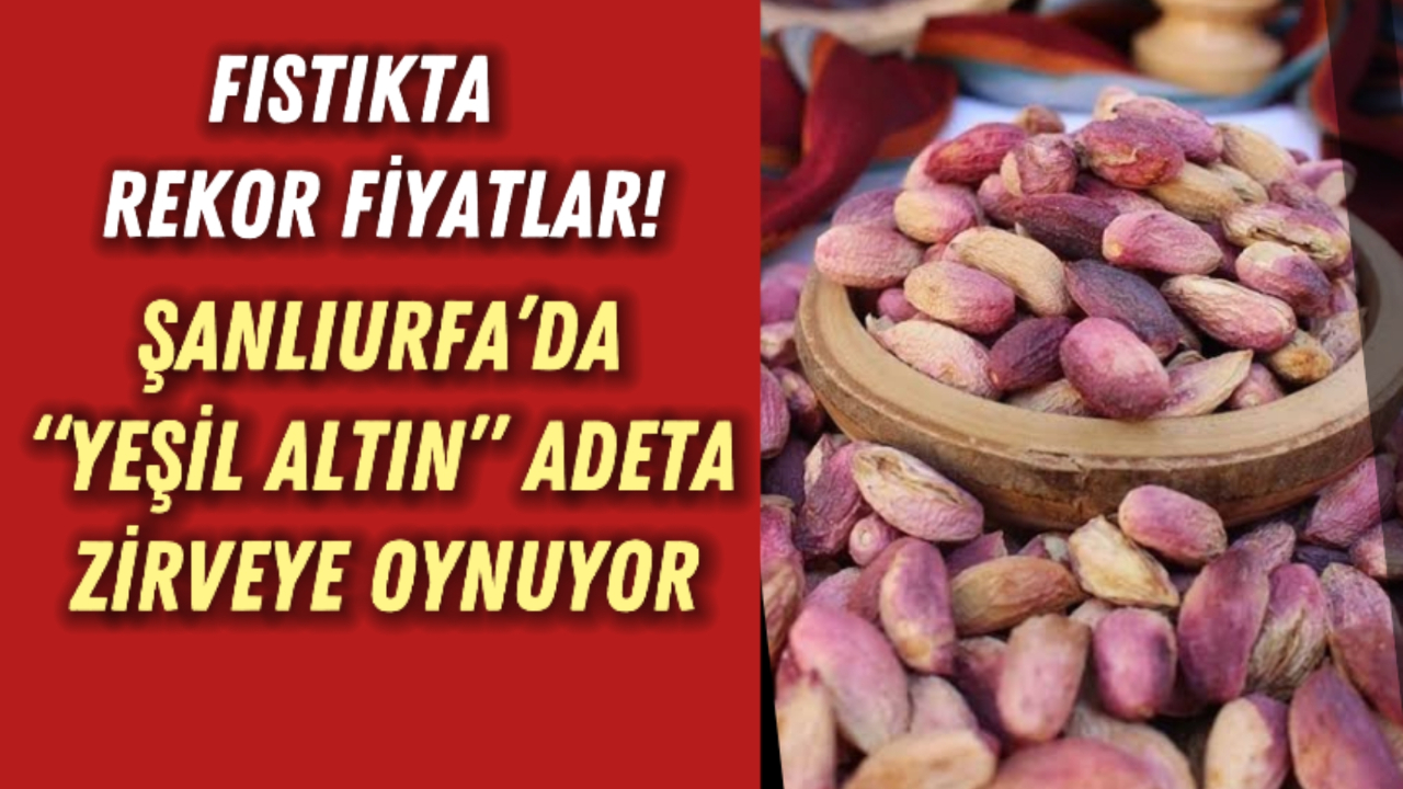 Fıstıkta Rekor Fiyatlar! Şanlıurfa’da “Yeşil Altın” Adeta Zirveye Oynuyor