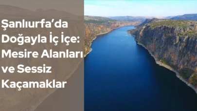 Şanlıurfa’da Doğayla İç İçe: Mesire Alanları ve Sessiz Kaçamaklar