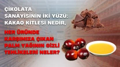 Çikolata Sanayisinin İki Yüzü: Kakao Kitlesi Nedir, Her Üründe Karşımıza Çıkan Palm Yağının Gizli Tehlikeleri Neler?