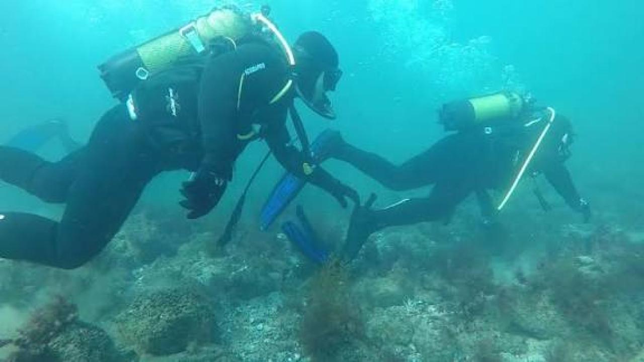 ŞANLIURFA’DAKİ ACI KAZADA 19 GÜNLÜK ARAMA SINIR ÖTESİNDE NOKTALANDI: HALİL GÜNDÜZ’DEN ACI HABER GELDİ!