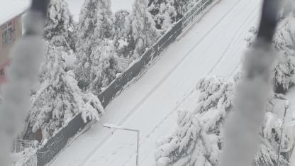 Şanlıurfa Beyaza Büründü: Kar ve Tipi Hayatı Olumsuz Etkiledi