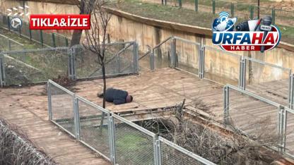 Şanlıurfa’nın Göbeğinde Uyuşturucu Alarmı: “Bu Bir Asayiş Değil, Toplumsal Çöküş”