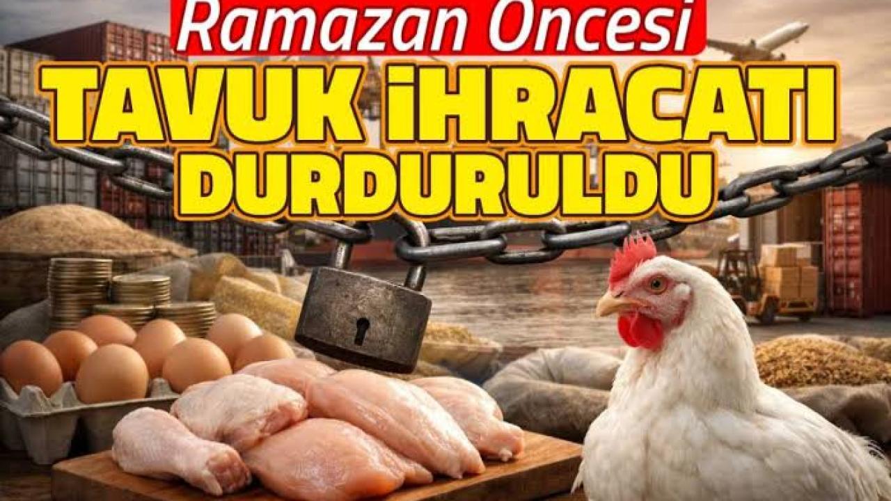 Tavuk İhracatına Fren: Bakanlık Fiyat Artışı Sonrası Düğmeye Bastı